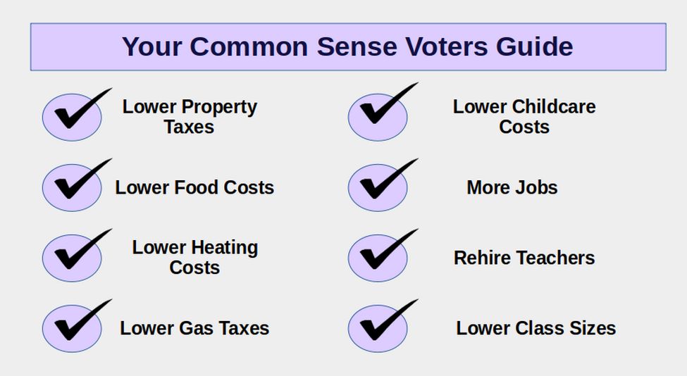 voters guide